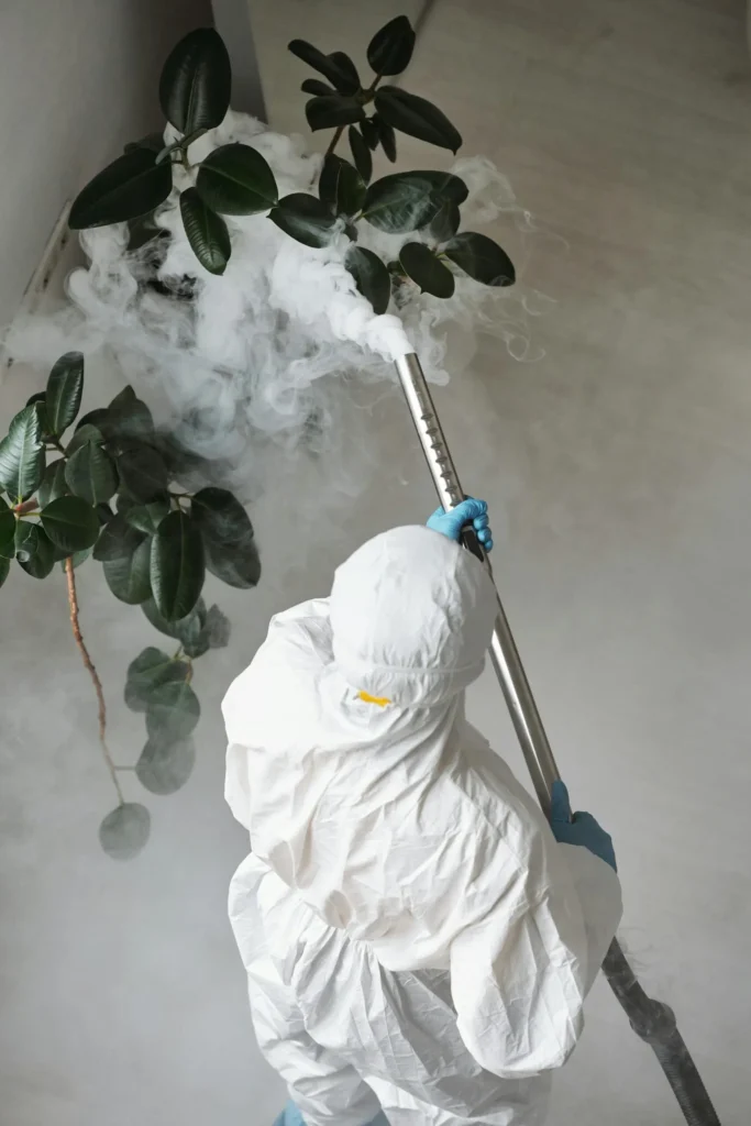 Trusted Pest Control - Cliffside Park Exterminator Pros | Cliffside Park, NJ | 551-304-7588